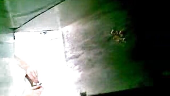সুন্দরী সরাসরি চোদাচুদি বালিকা